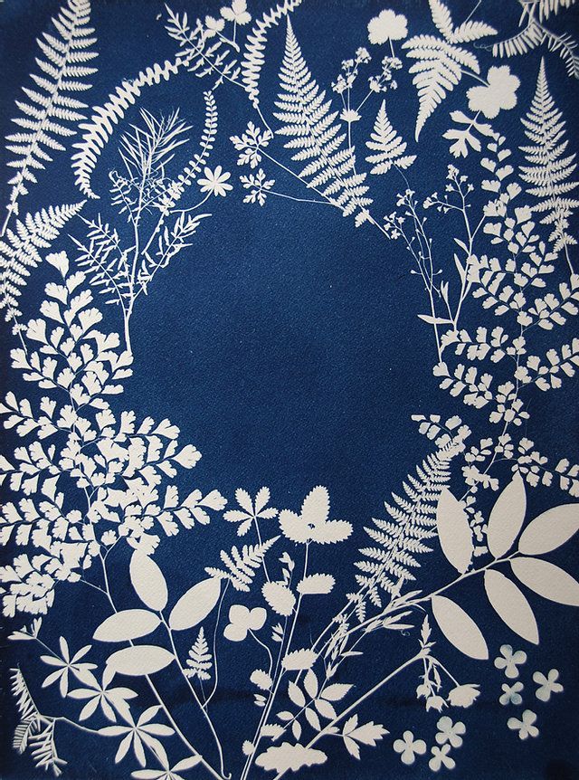 Ateliers Fleuris - 04-02-23 - Initiation au Cyanotype - "L'empreinte Bleue inspirée par la Nature"