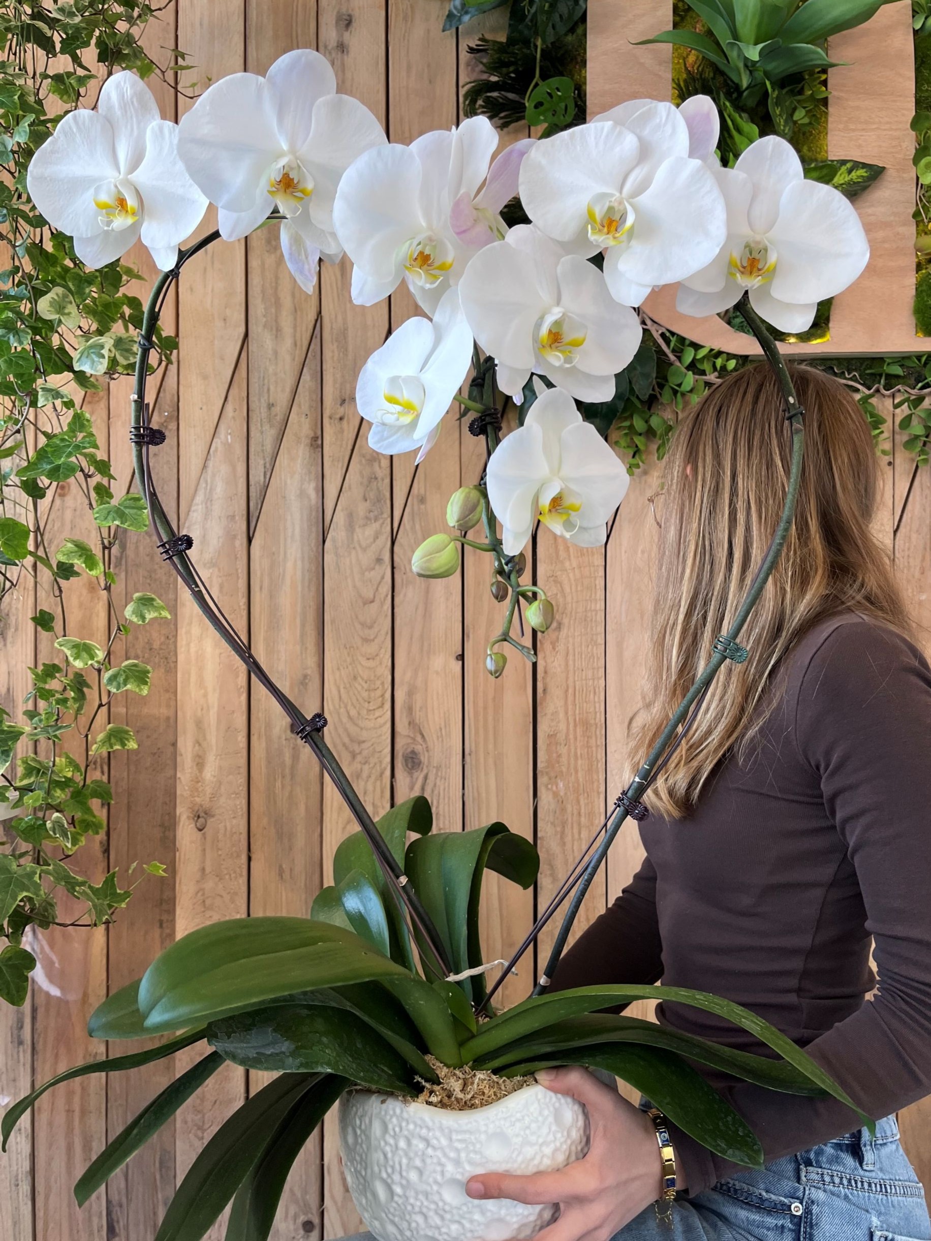 Plantes, Fête des Mères, C'est la Saison -