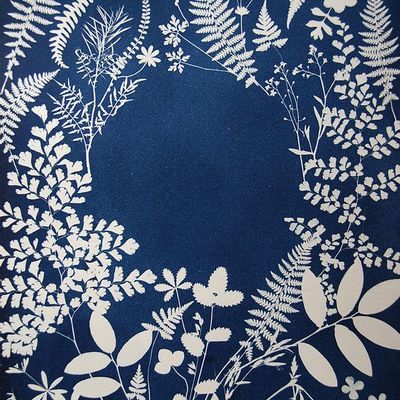 04-02-23 - Initiation au Cyanotype - "L'empreinte Bleue inspirée par la Nature"