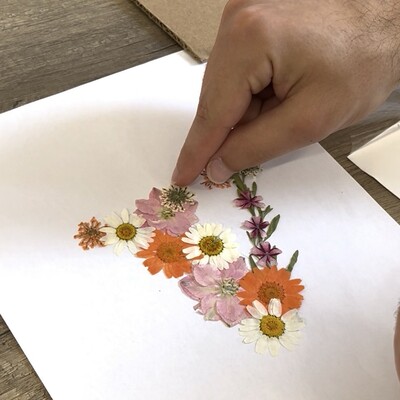 ATELIER HERBIER - 5 Juillet 2025